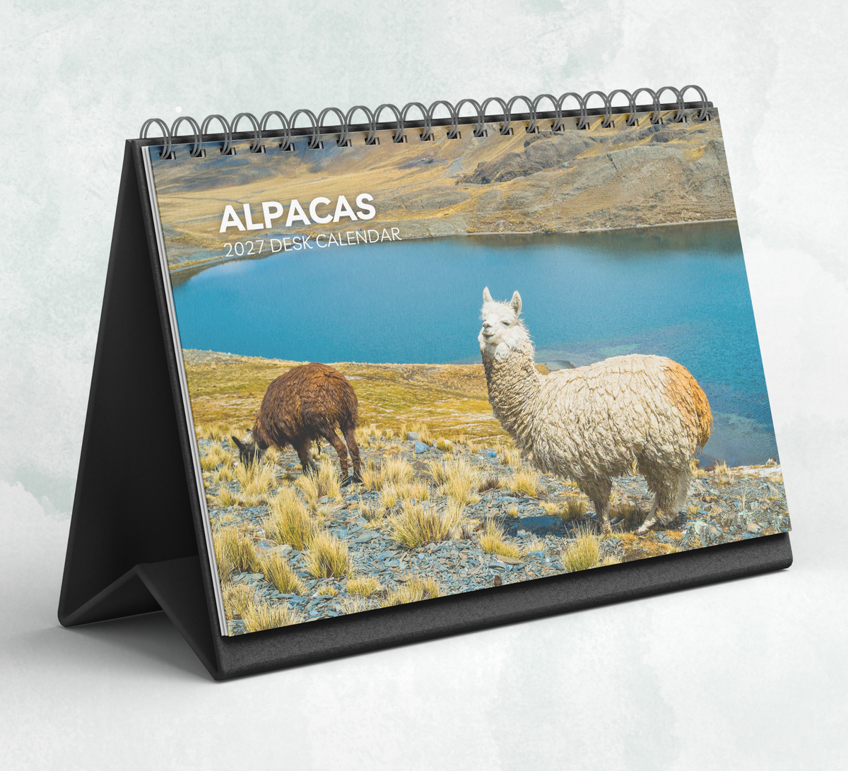 Alpacas Desk Calendar 2027-2028