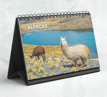 Alpacas Desk Calendar 2027-2028