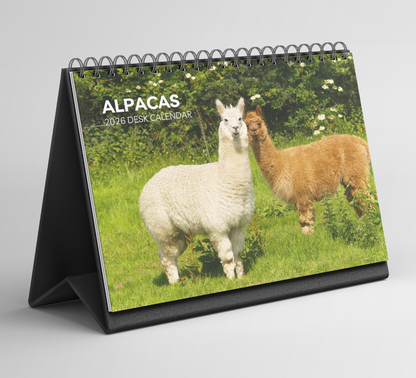 Alpacas Desk Calendar 2026-2027
