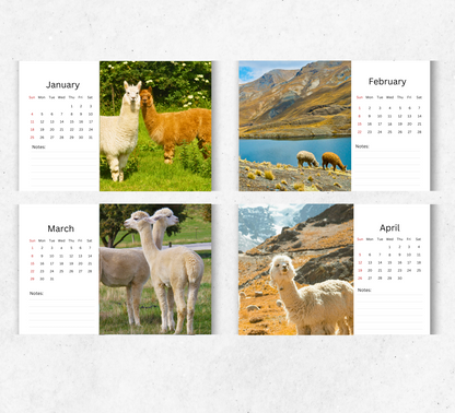 Alpacas Desk Calendar 2026-2027