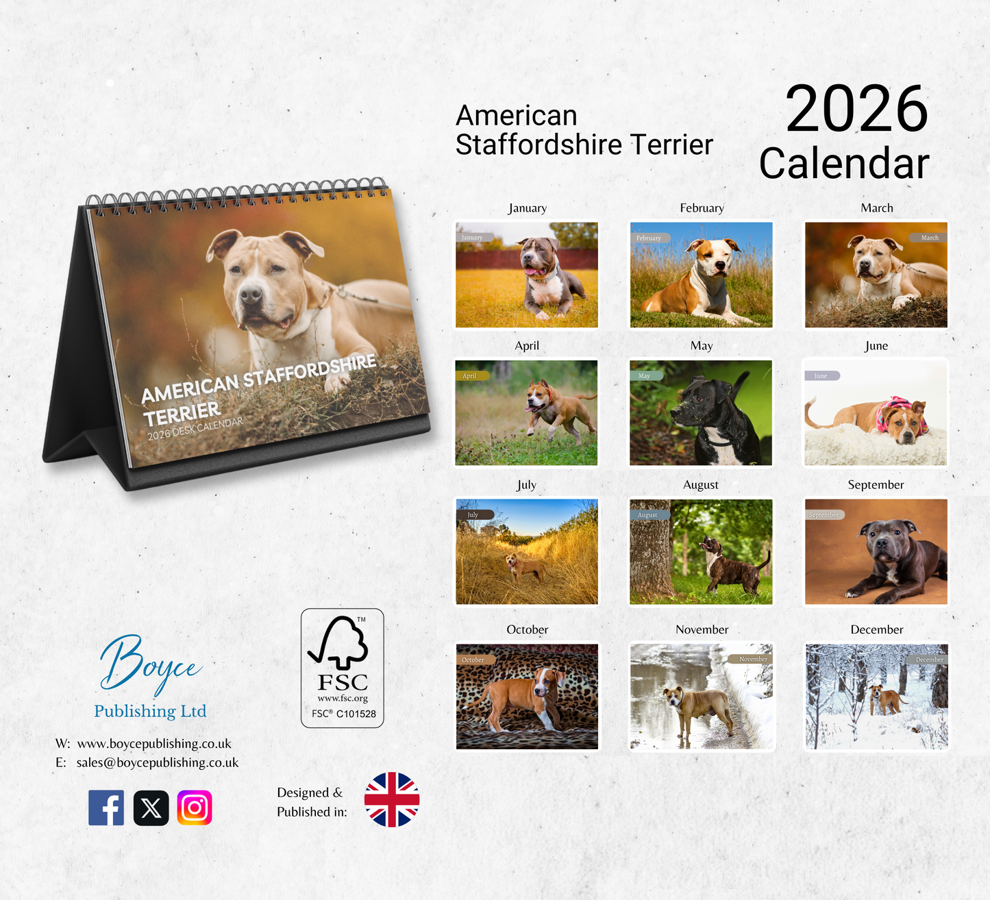 American Staffordshire Terrier Desk Calendar 2026-2027