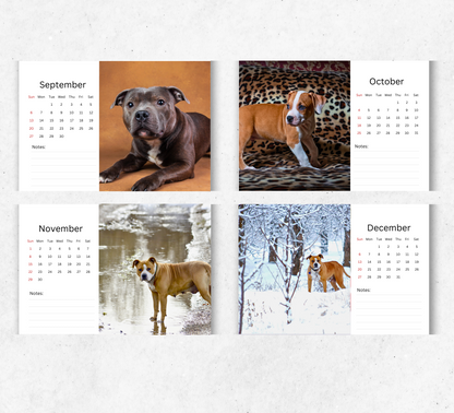American Staffordshire Terrier Desk Calendar 2026-2027