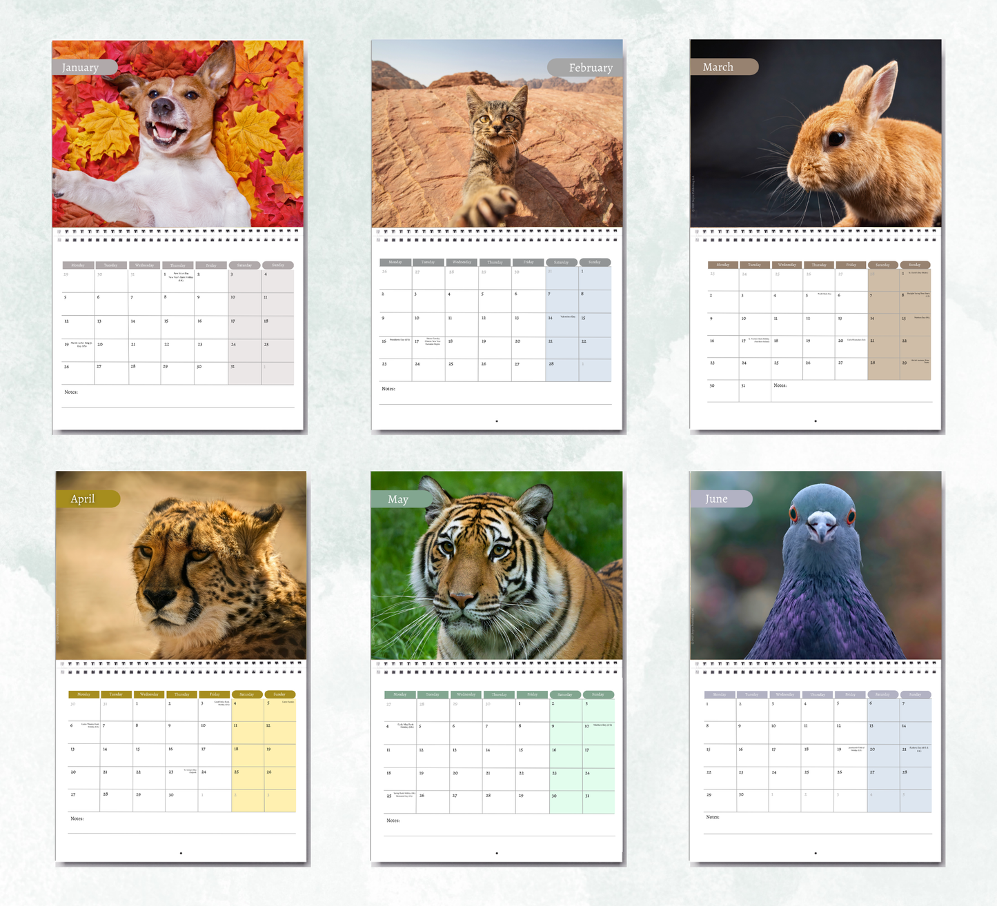 Animal selfies Calendar 2027