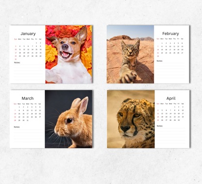 Animal Selfies Desk Calendar 2027-2028