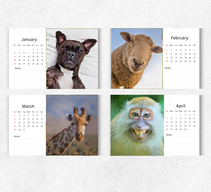 Animal Selfies Desk Calendar 2026-2027