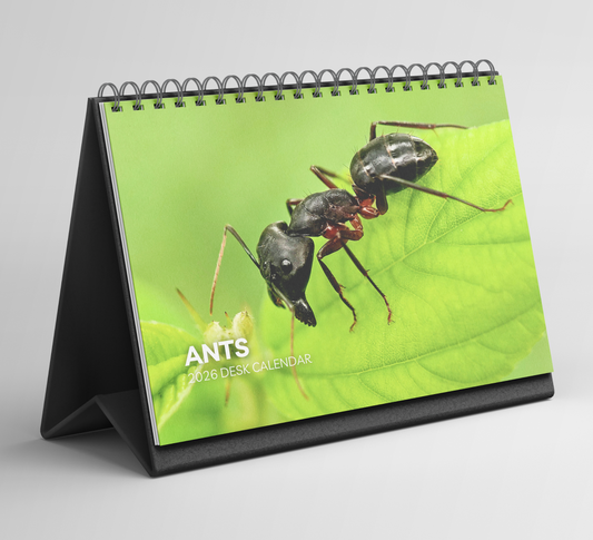 Ants Desk Calendar 2026-2027