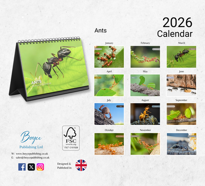 Ants Desk Calendar 2026-2027