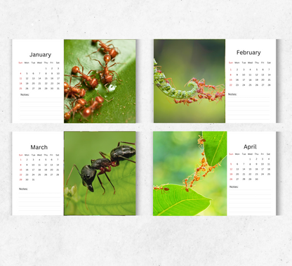 Ants Desk Calendar 2026-2027