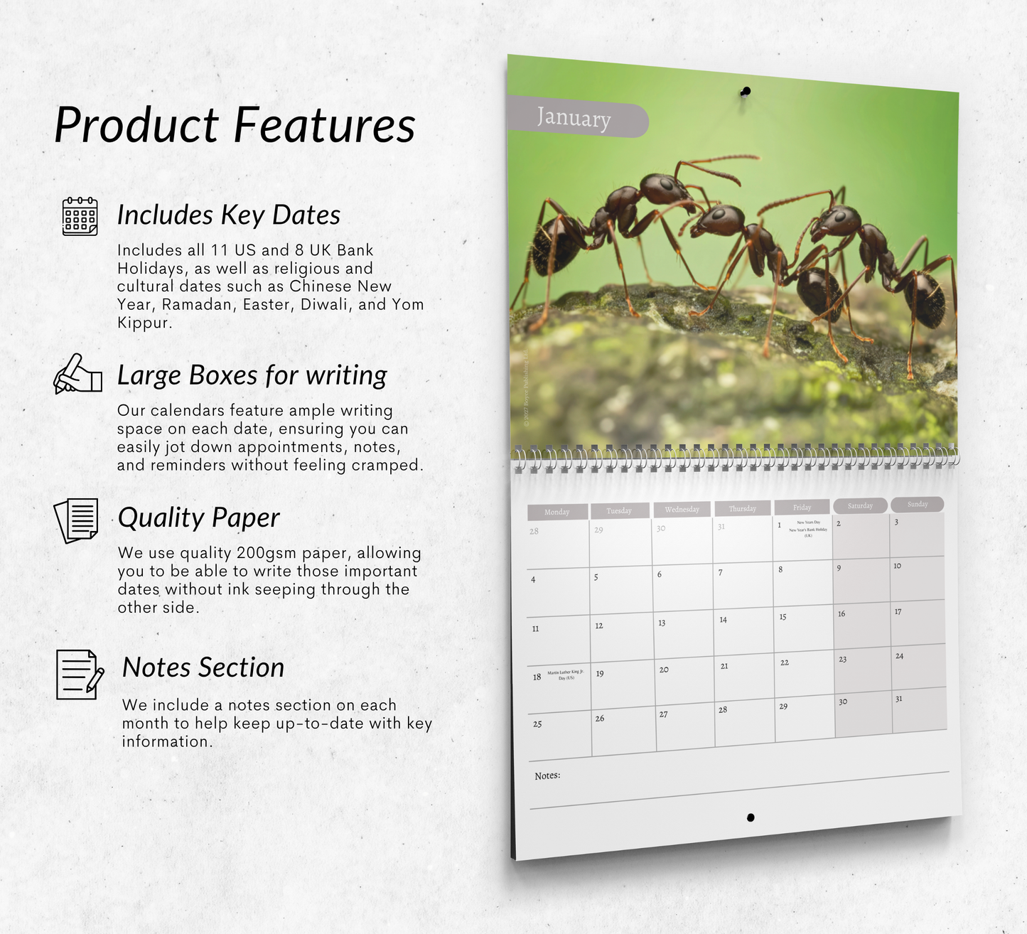 Ants Calendar 2027
