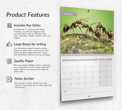 Ants Calendar 2027