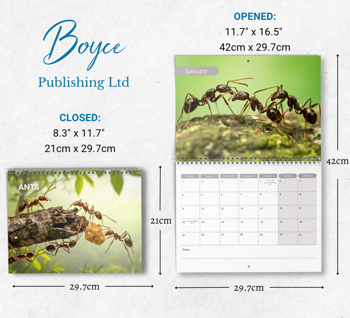 Ants Calendar 2027
