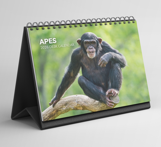 Ape Desk Calendar 2026-2027