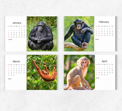 Ape Desk Calendar 2026-2027