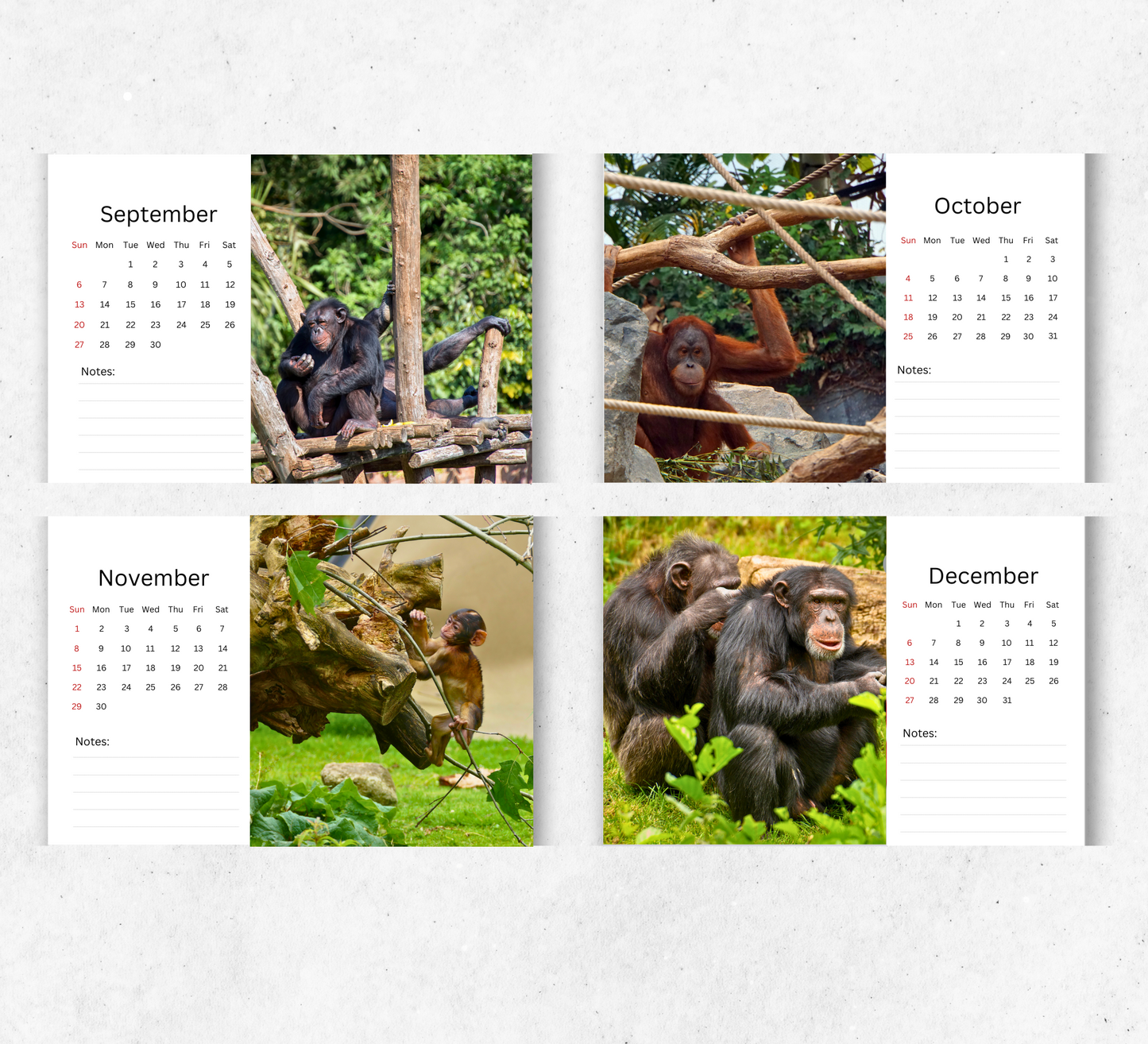 Ape Desk Calendar 2026-2027