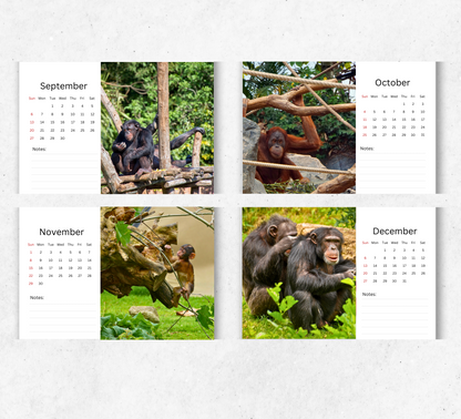 Ape Desk Calendar 2026-2027