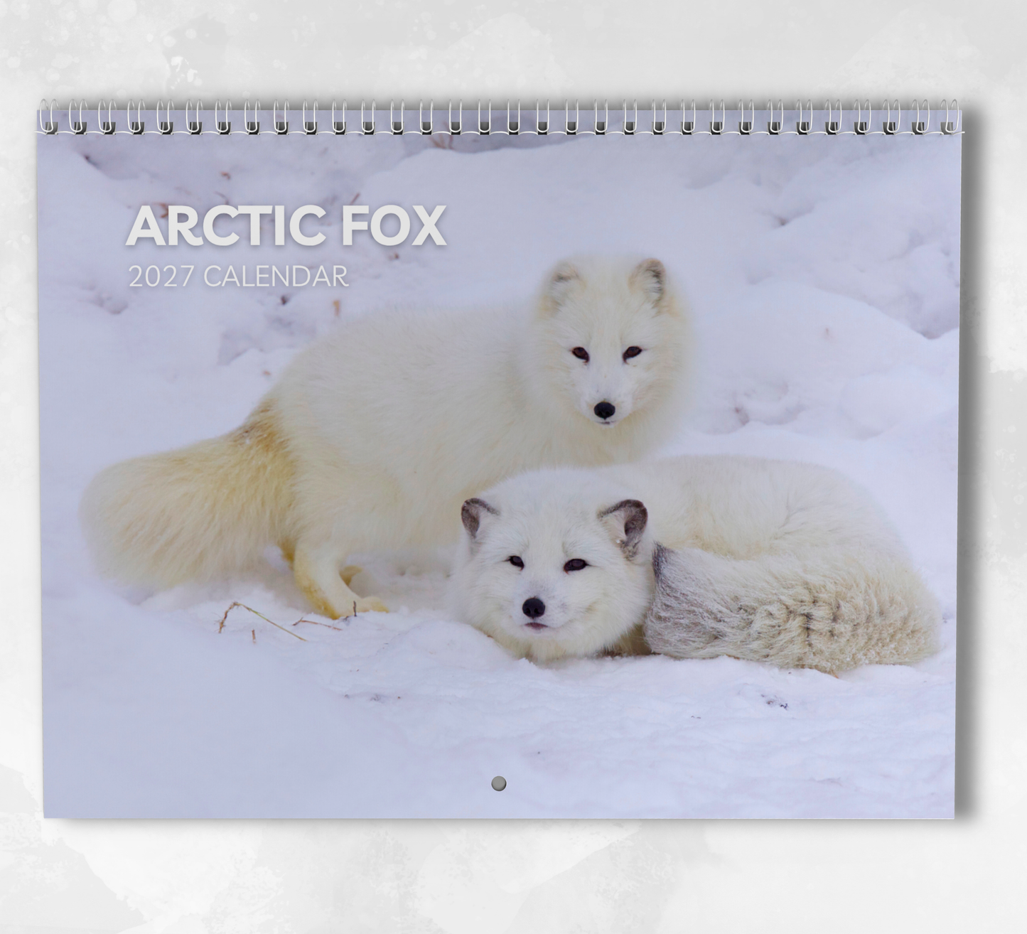Artic Fox Calendar 2027