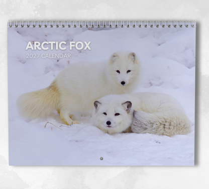 Artic Fox Calendar 2027