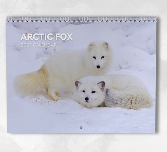 Artic Fox Calendar 2027