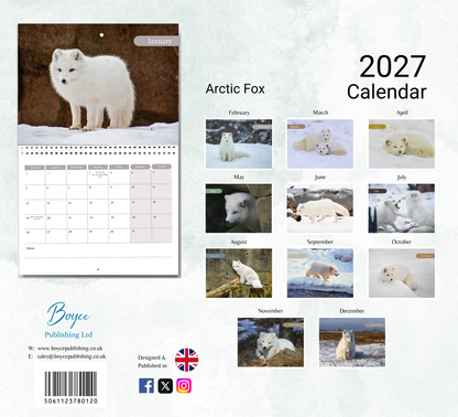 Artic Fox Calendar 2027