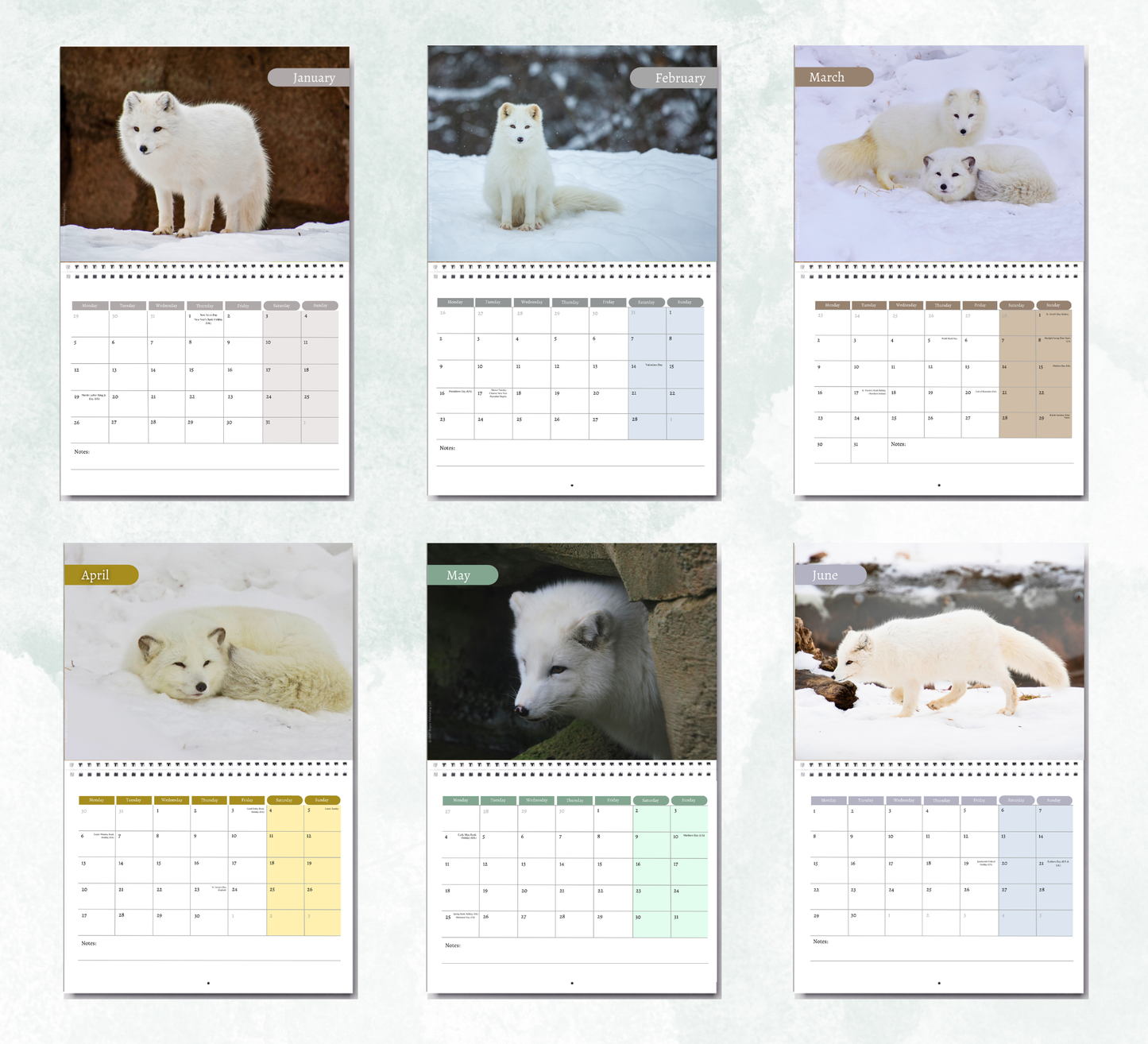 Artic Fox Calendar 2027