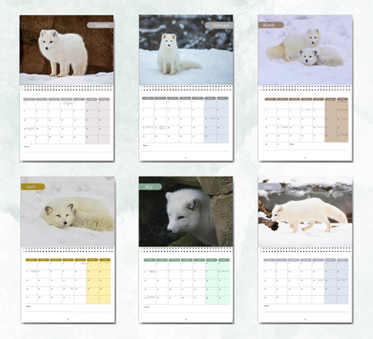 Artic Fox Calendar 2027