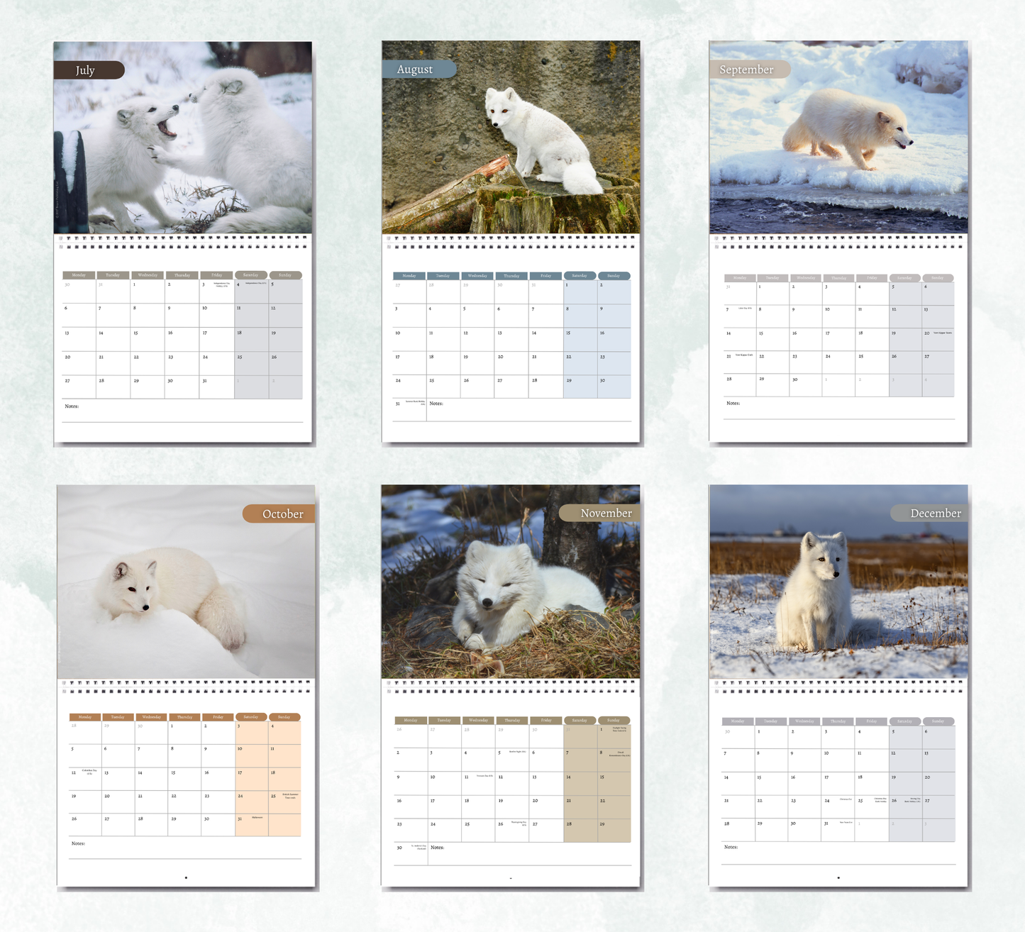 Artic Fox Calendar 2027