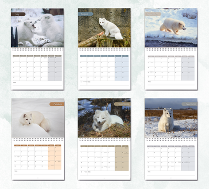 Artic Fox Calendar 2027