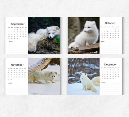 Artic Fox Desk Calendar 2026-2027