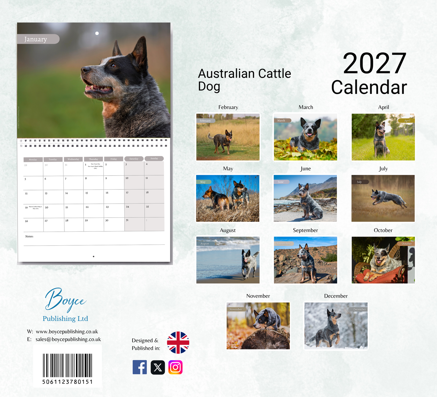 Australian Cattle Dog Calendar 2027
