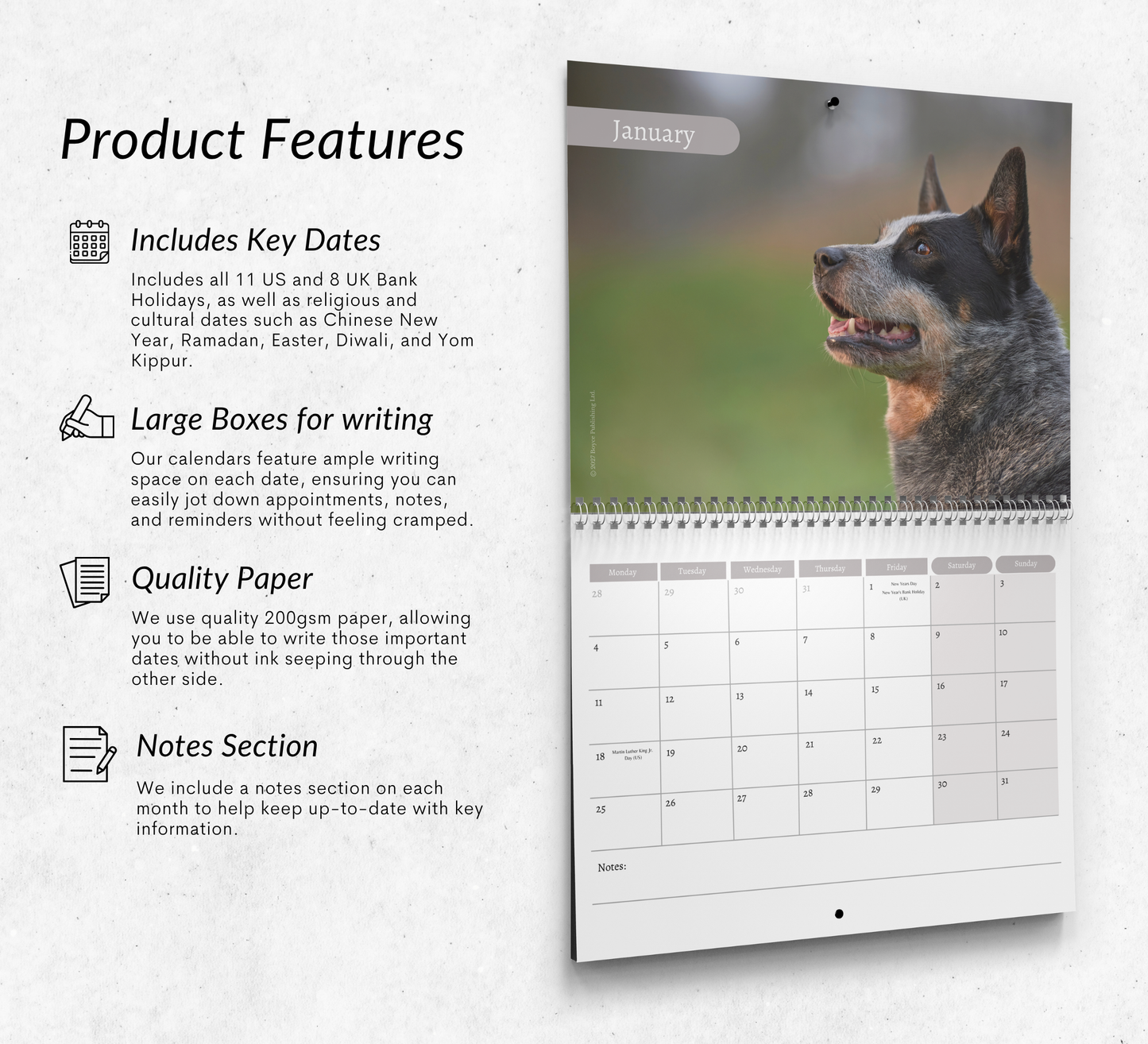Australian Cattle Dog Calendar 2027