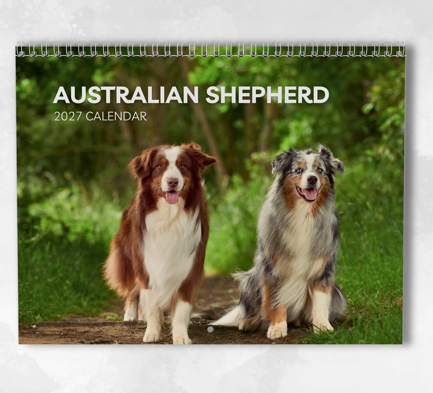 Australian Shepherd Calendar 2027