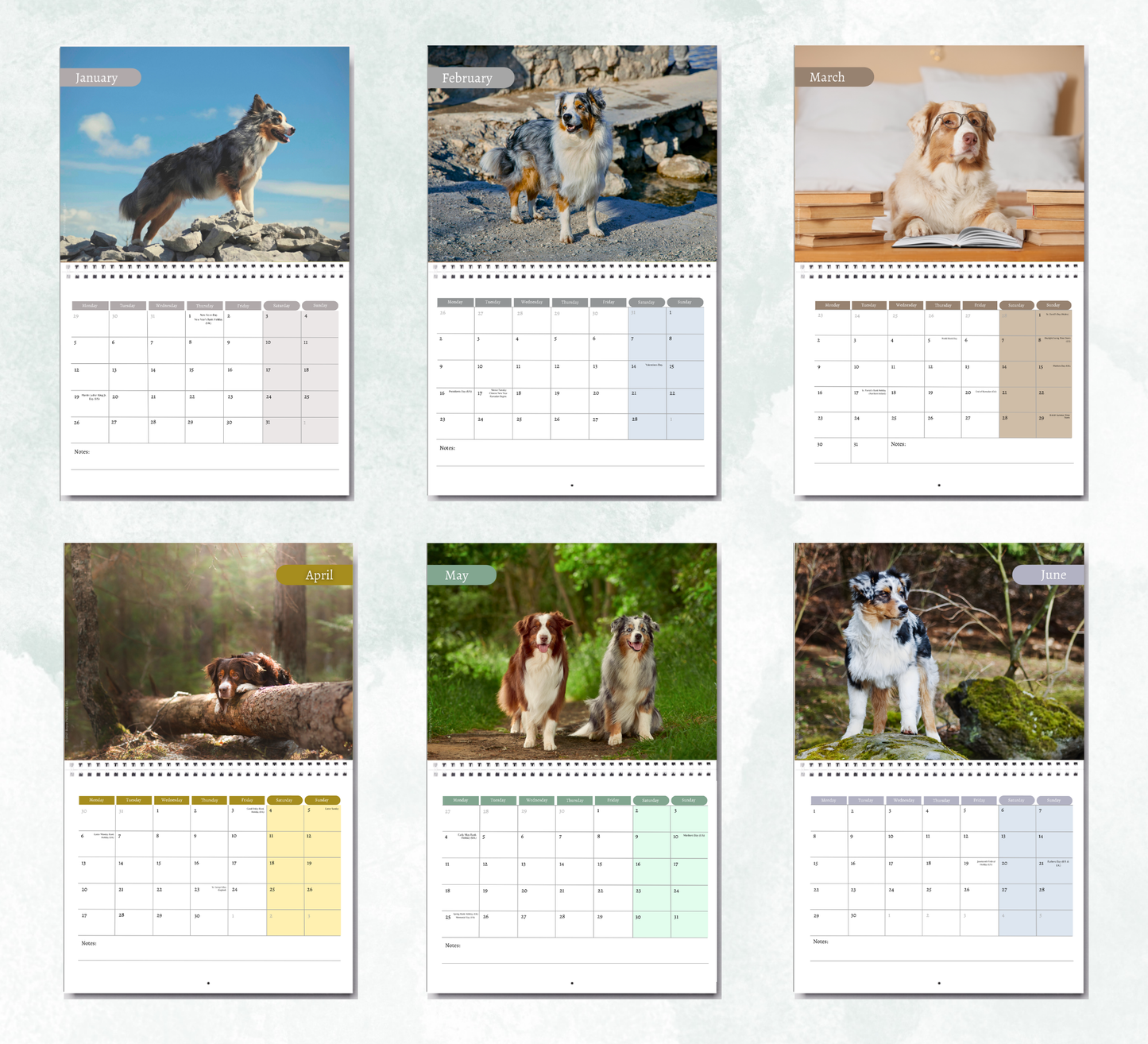 Australian Shepherd Calendar 2027