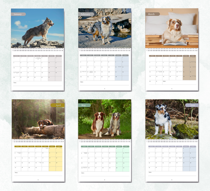 Australian Shepherd Calendar 2027