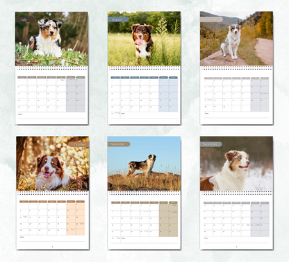 Australian Shepherd Calendar 2027