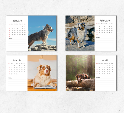 Australian Shepherd Desk Calendar 2027-2028