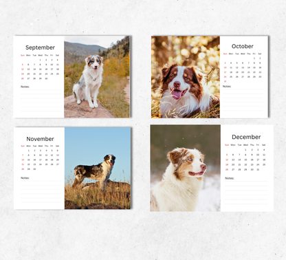 Australian Shepherd Desk Calendar 2027-2028