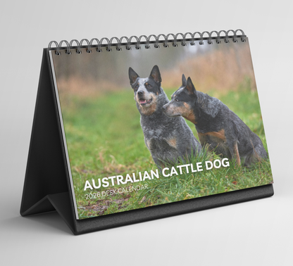 Australian Cattle Dog Desk Calendar 2026-2027