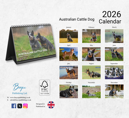 Australian Cattle Dog Desk Calendar 2026-2027