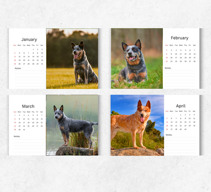 Australian Cattle Dog Desk Calendar 2026-2027