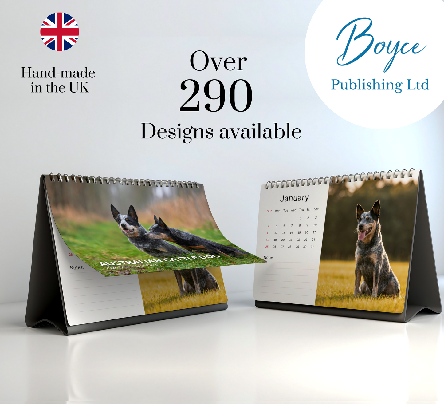 Australian Cattle Dog Desk Calendar 2026-2027
