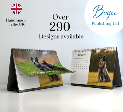 Australian Cattle Dog Desk Calendar 2026-2027