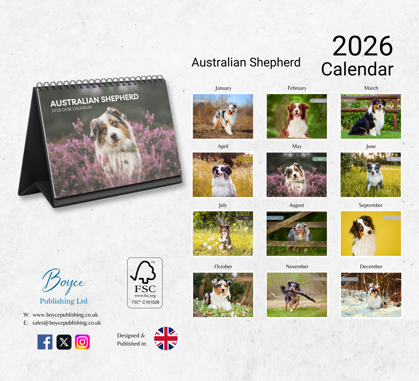 Australian Shepherd Desk Calendar 2026-2027
