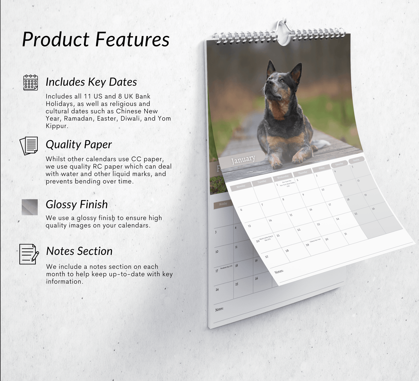 Australian Cattle Dog Calendar 2025