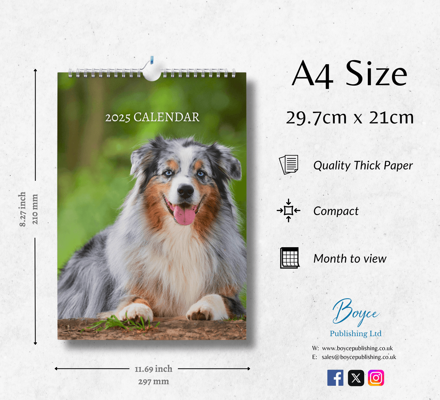 Australian Shepherd Calendar 2025