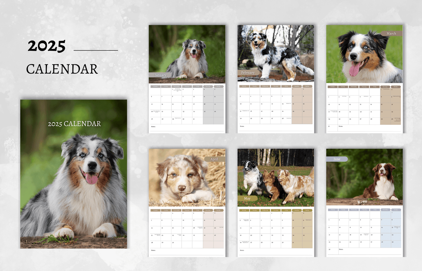 Australian Shepherd Calendar 2025