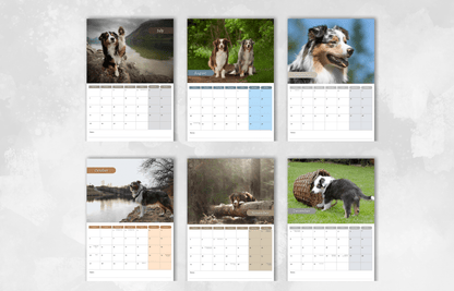 Australian Shepherd Calendar 2025