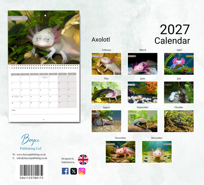 Axolotl Calendar 2027