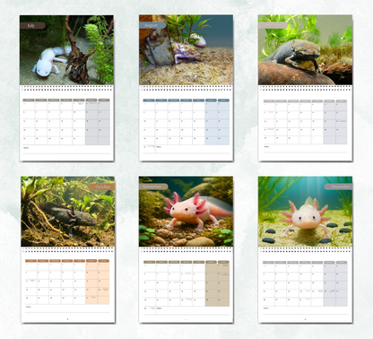 Axolotl Calendar 2027