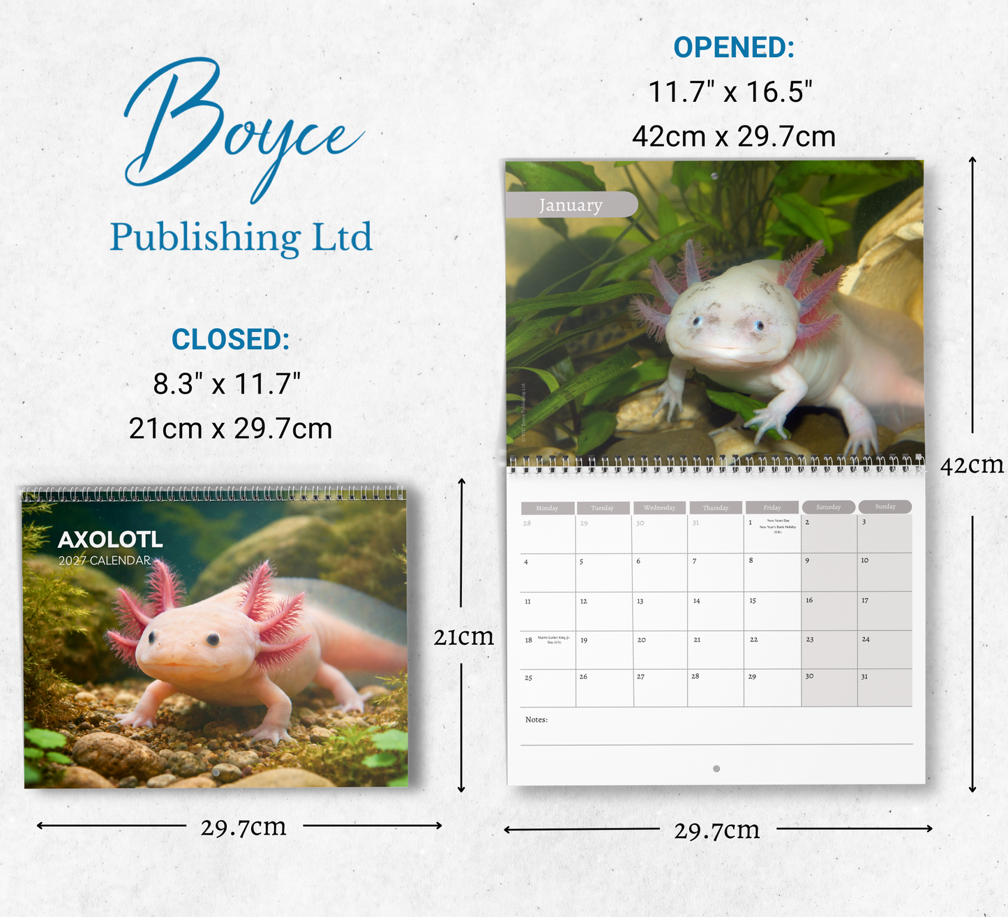Axolotl Calendar 2027