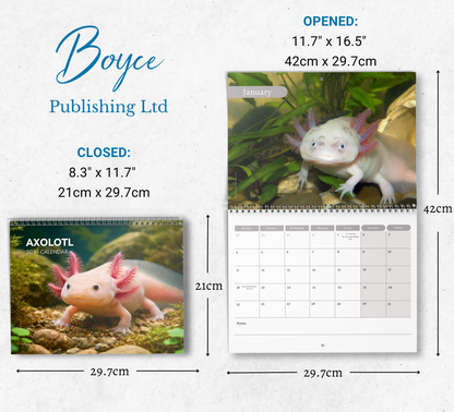 Axolotl Calendar 2027